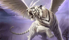 白虎动漫,探索东方奇幻世界的视觉盛宴