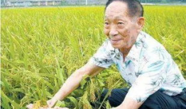 吃瓜爆料袁隆平图片大全,吃瓜群众眼中的农业巨星